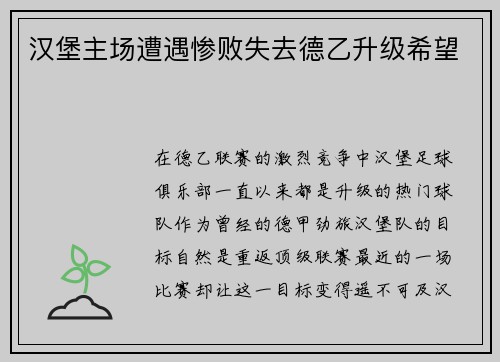 汉堡主场遭遇惨败失去德乙升级希望